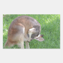 Red Kangaroo Sticker