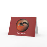 Red Kite Bird of Prey cards