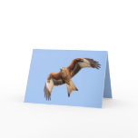 Red Kite Card