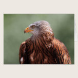 Red Kite cards