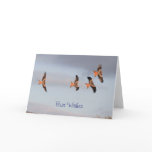 Red Kite cards