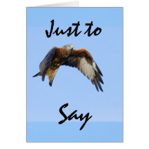 Red Kite Greeting Card