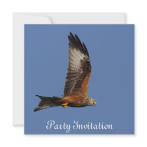 Red Kite Party Invitation