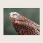 Red Kite postcards
