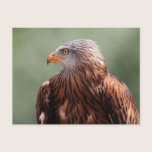 Red Kite postcards