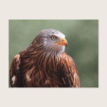 Red Kite postcards
