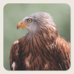 Red Kite stickers