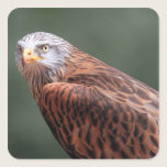 Red Kite stickers