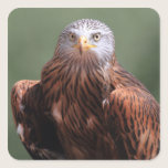 Red Kite stickers