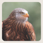 Red Kite stickers