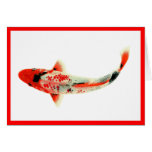 Red Koi cards