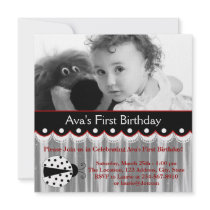 Red Ladybug Girls Photo 1st Birthday Party