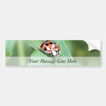 Red Ladybug On A Green Leaf Bumper Sticker