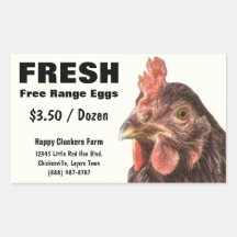 Red Laying Hen Chicken Photo Rectangle Stickers