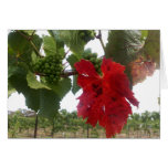 Red Leaf cards