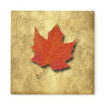 Red Leaf magnets