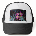 Red Leaf Rose 'Rose Rubrifolia' Yellow flowers hats