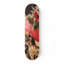 Red Leaves Skate Decks