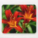 Red Lilies Mousepad