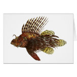 Red Lionfish Vintage Print Card