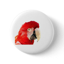 Red macaw pinback buttons