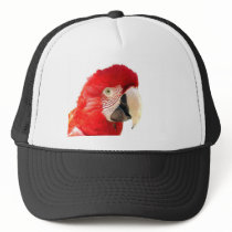 Red macaw trucker hats