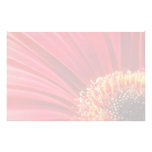 Red Macro Gerbera Daisy Flower Stationery