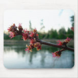 Red Maple Buds at Dawn mousepads