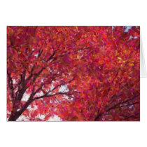 Red Maple Card