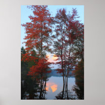 Red Maple Foliage Sunset Posters