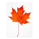 Red maple leaf announcement