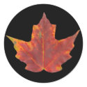 Red Maple Leaf stickers
