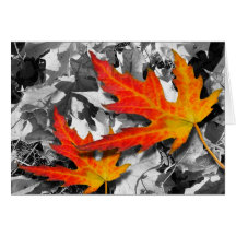 Red Maple Leaves Greeting Card