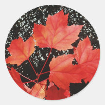 Red Maple Leaves Round Sticker