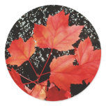 Red Maple Leaves stickers