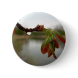 Red Maple Seed Pods at Dawn buttons