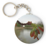 Red Maple Seed Pods at Dawn keychains