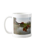 Red Maple Seed Pods at Dawn mugs