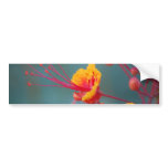 Red Mexican Bird of Paradise bumper stickers