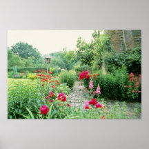 Red Mixed Cottage Garden - Peony, Pyrethrum, Alliu Poster