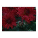 Red Mum Alive cards