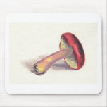 Red Mushroom Mousepads