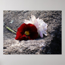 Red-n-white Posters