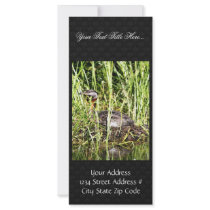 Red-necked Grebe Nest Customized Rack Card