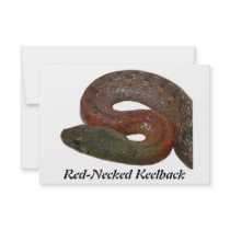 Red-Necked Keelback Custom Invite