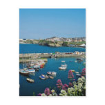 Red Newquay harbour, Cornwall, U.K. flowers postcards