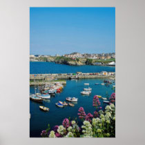 Red Newquay harbour, Cornwall, U.K. flowers Print