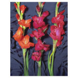 Red, orange and scarlet gladiolus flyers