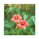 Red-Orange Horn Vine Flower magnets