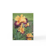 Red Orange Iris Small Blank Note Card